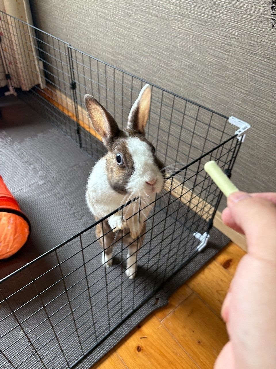 おやっ？