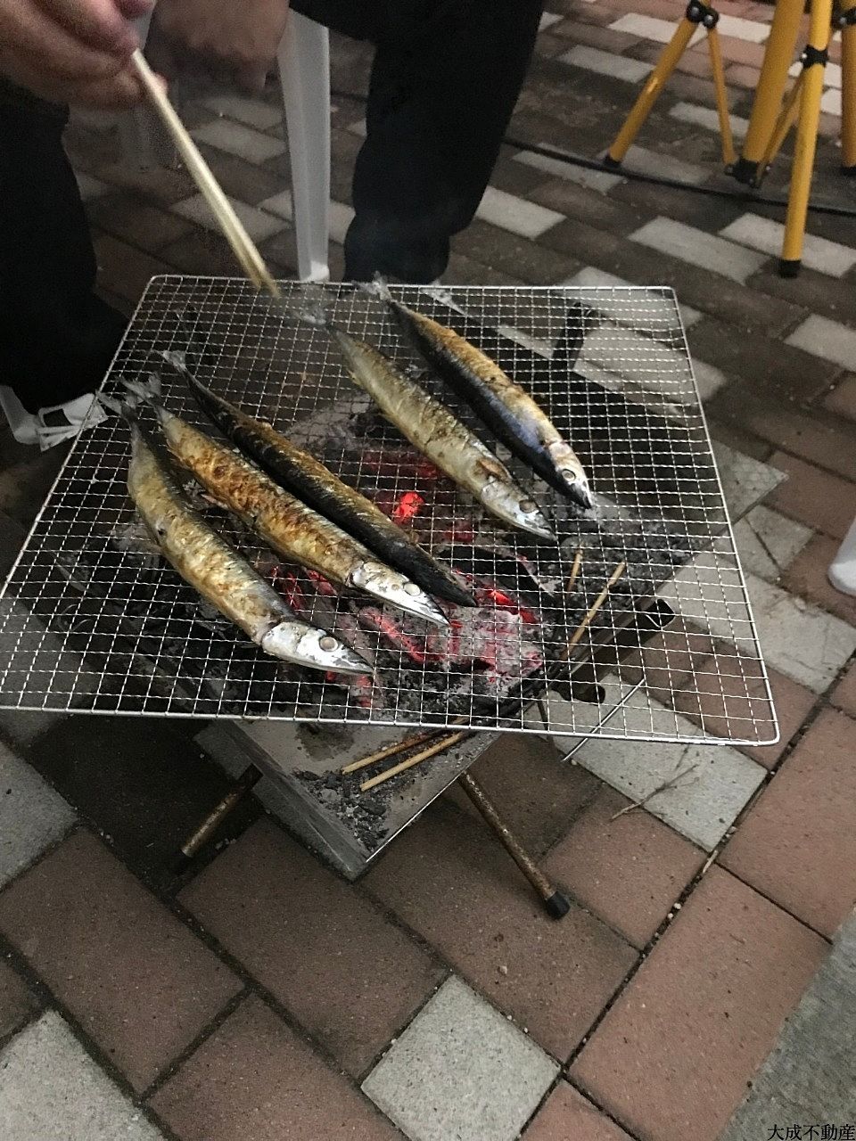 秋刀魚！！